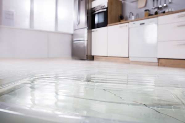 Signs You May Have a Water Leak
